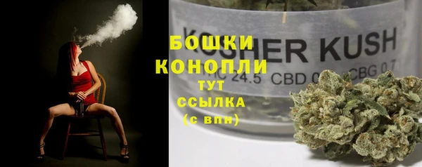 СК Балахна