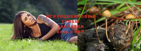 скорость Баксан